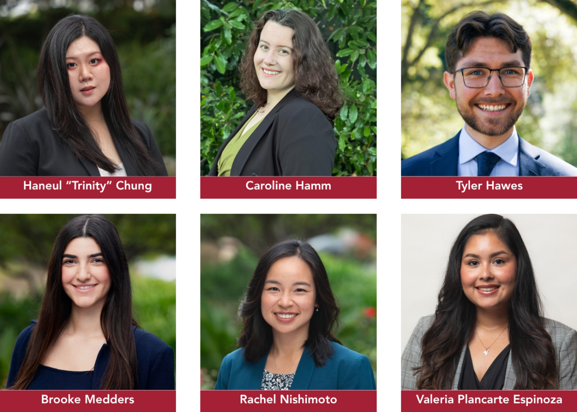 Stevens Fellows 2026
