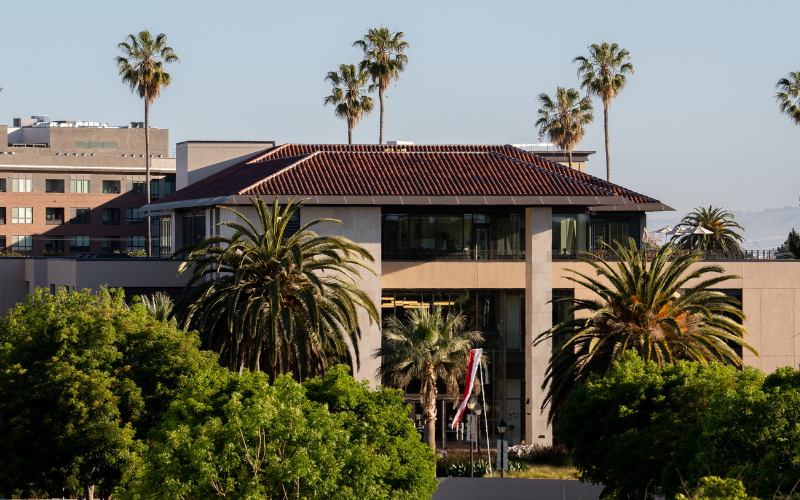 a big college building surround by trees and palm trees 