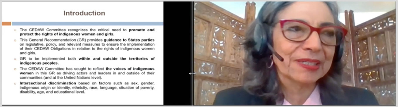 Screenshot of Gladys Acosta, Expert for the UN Committee on the Elimination of Discrimination Against Women, introducing the topic at the Day of General Discussion