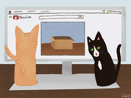 Dina Goldman cat video cartoon