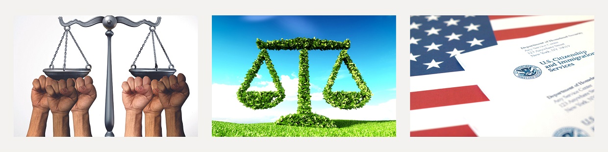 Navigating Environmental Law: Attorney Assistance Across the USA